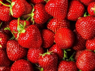 fraises