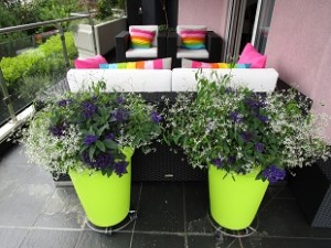 exemple plantation bacs et terrasse