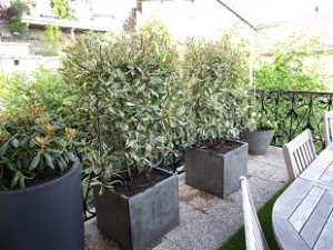 exemple plantation bacs et terrasse