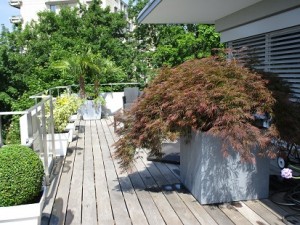 exemple plantation bacs et terrasse
