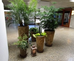 exemple plantation bacs et terrasse