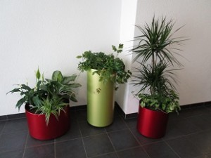 exemple plantation bacs et terrasse