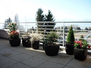 exemple plantation bacs et terrasse