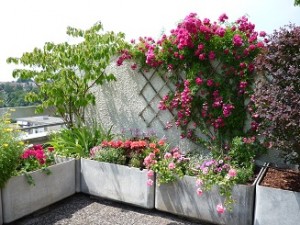 exemple plantation bacs et terrasse