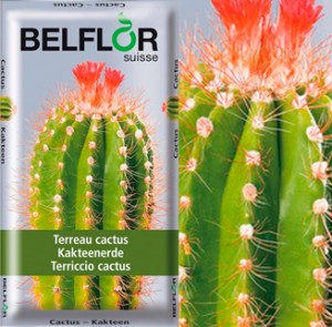 Terreau_Cactus
