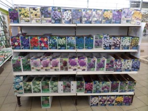 bulbes printemps