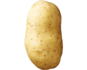 pommes de terre Concordia