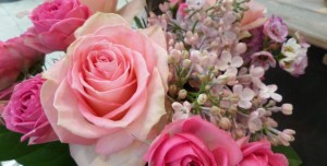 fleurs coupées