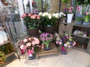 fleurs coupées