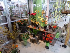fleurs coupées
