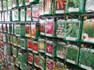 graines légumes