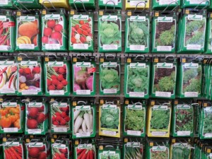 graines légumes