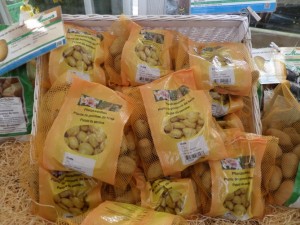 pommes de terre pdt