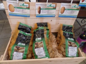 pommes de terre pdt