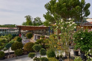 pépinière