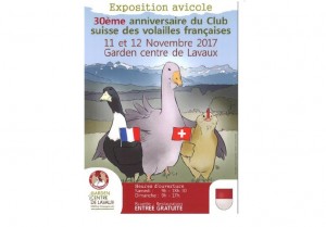 Expo avicole site2