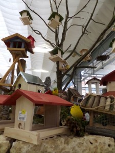 Petits animaux hiver 2018-01