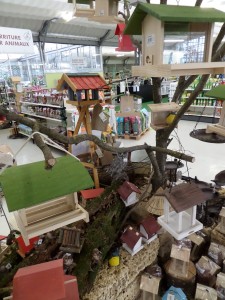 Petits animaux hiver 2018-06