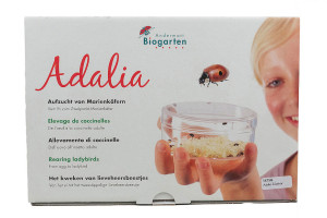 adalia andermatt biogarten