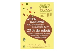 Automne 2019 20%