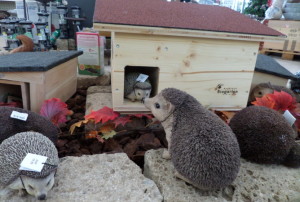 petits animaux hiver 2019