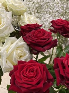 St-Valentin roses