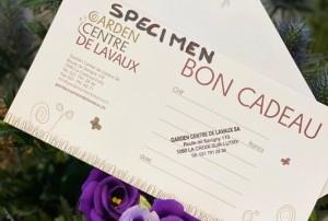 Bon cadeau 04