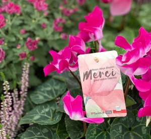 Journée spéciale Merci
