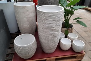 cache-pot 2021-08