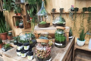 terrarium 2021-01