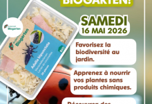biogarten cover